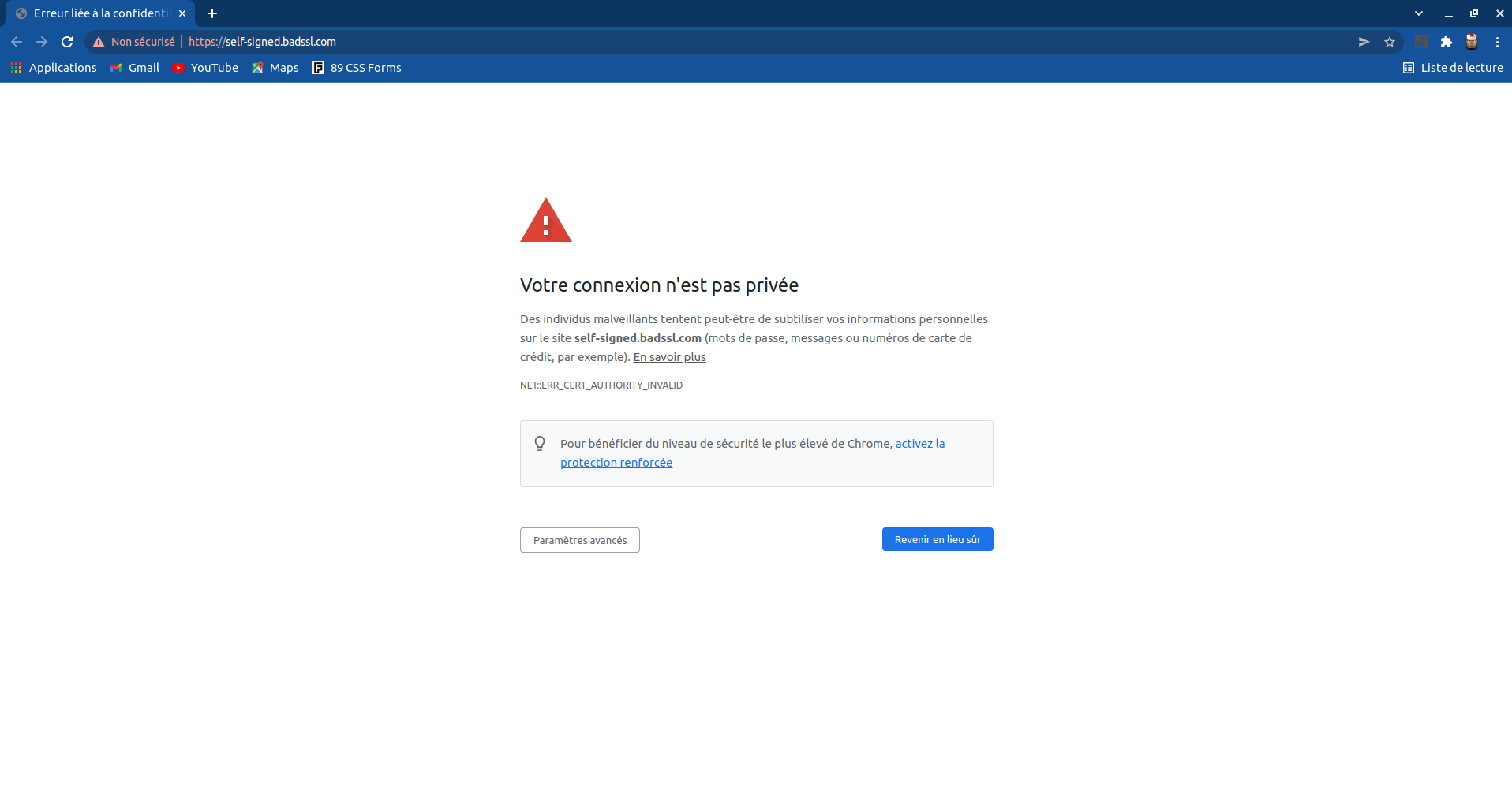 selenium error image